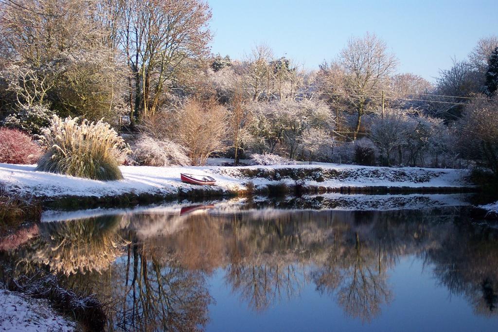 Polgwedhen Lodge Truro Ruang foto