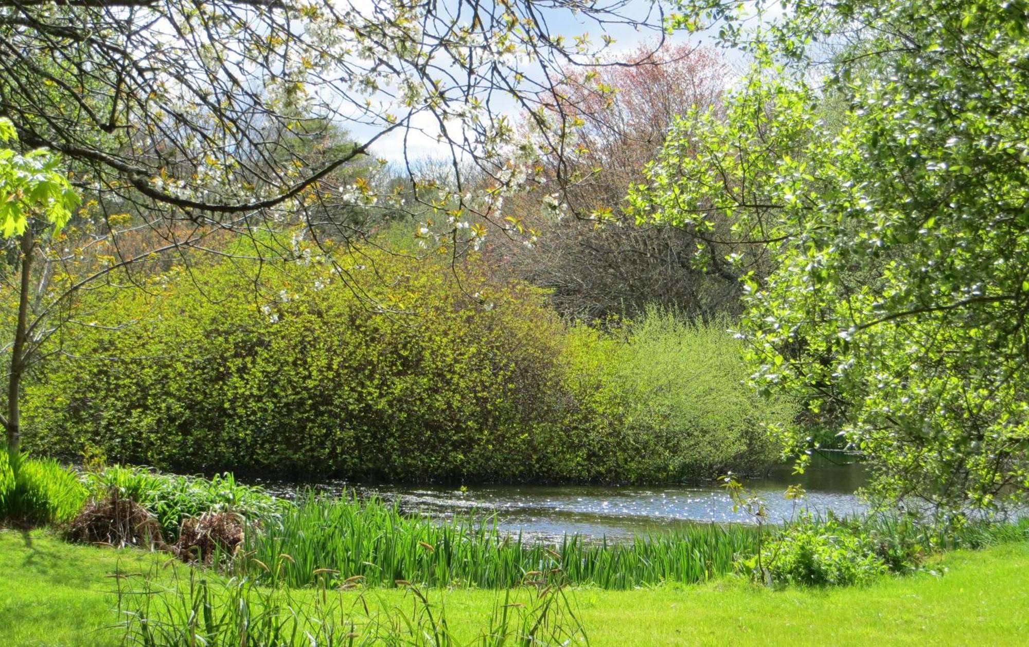 Polgwedhen Lodge Truro Bagian luar foto