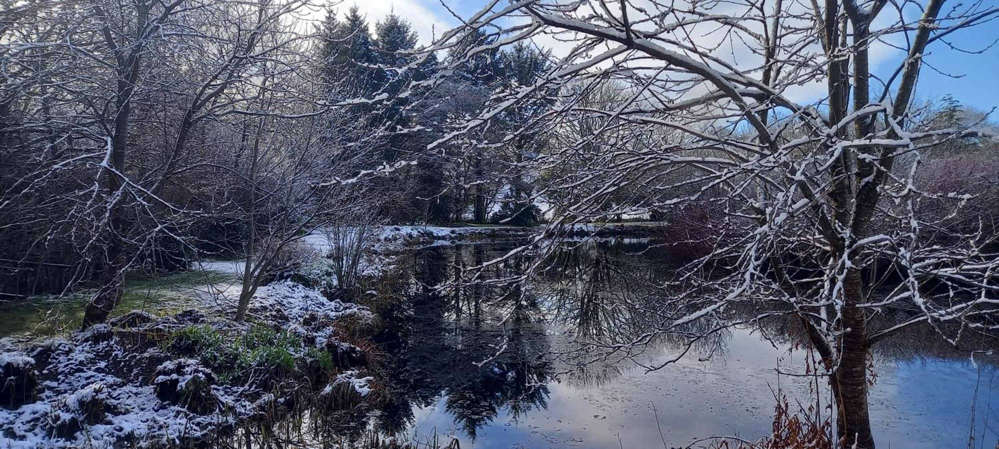 Polgwedhen Lodge Truro Bagian luar foto