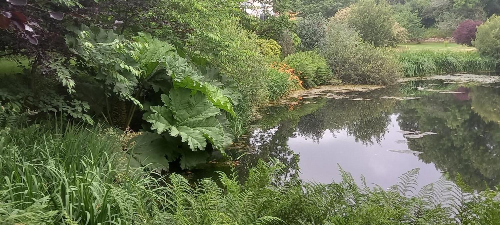 Polgwedhen Lodge Truro Bagian luar foto