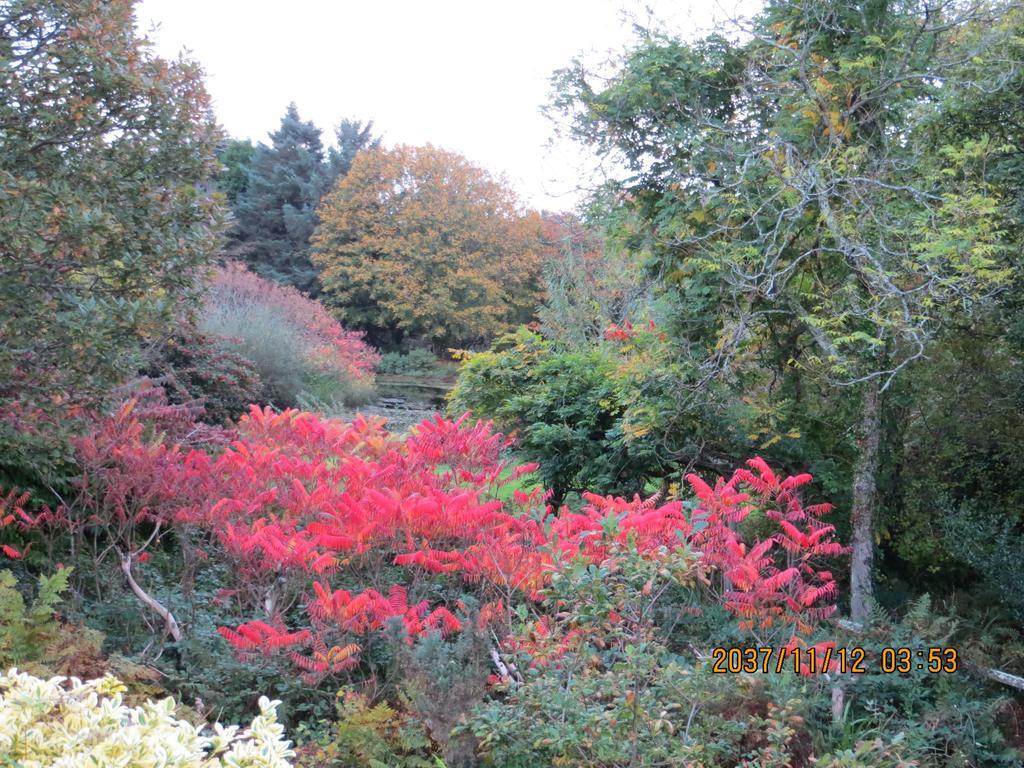 Polgwedhen Lodge Truro Ruang foto